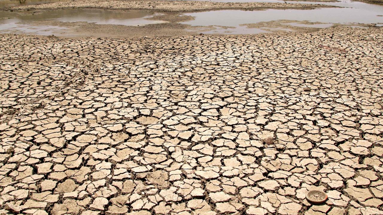 Dry land 