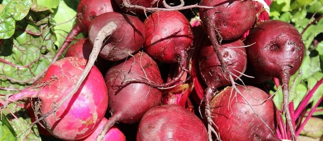 Beetroot