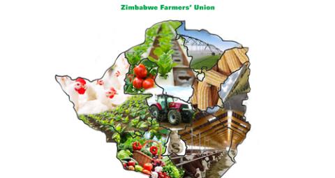 Strategic Plan Launch